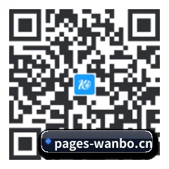 系统版 iOS 二维码